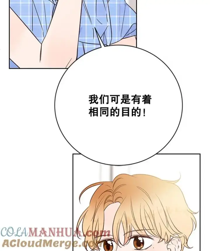 漫画《丈夫候选人》54.周胜豪的选择？第13张图