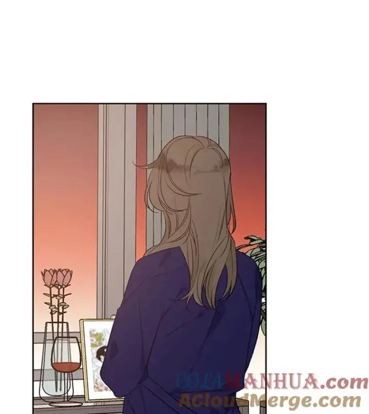 漫画《丈夫候选人》59.理由第88张图