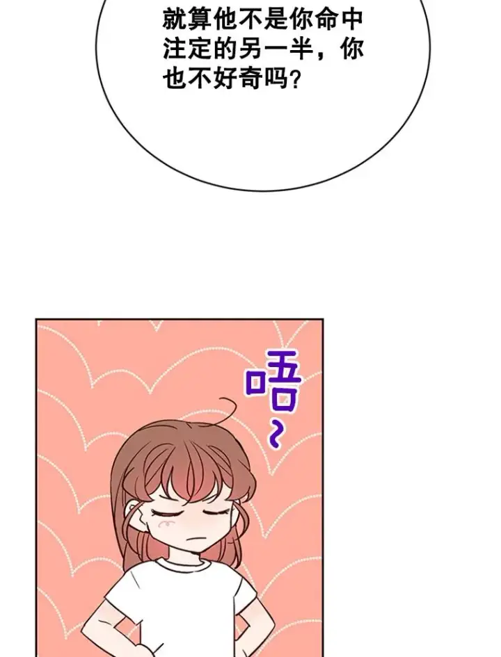 漫画《丈夫候选人》66.圆满结束第28张图