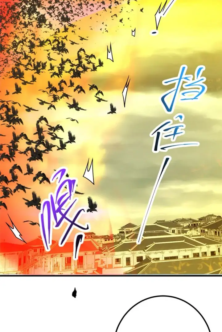 漫画《掌门低调点》100 群鸟灾祸第37张图