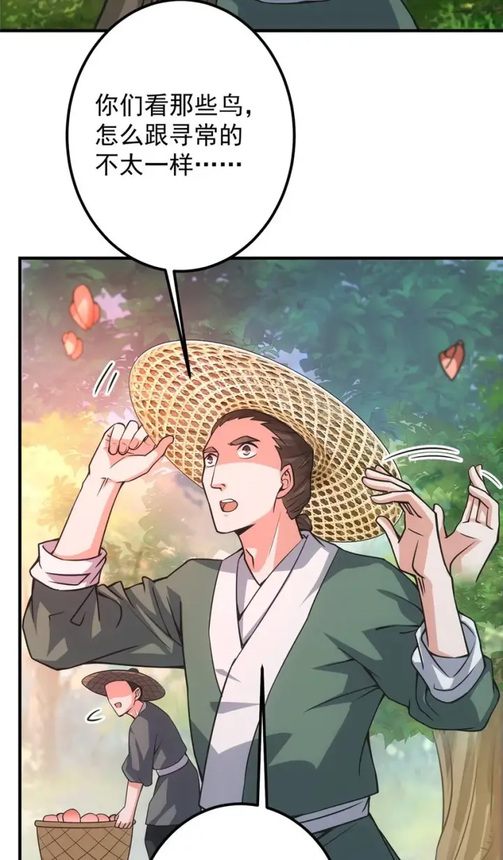 漫画《掌门低调点》100 群鸟灾祸第5张图