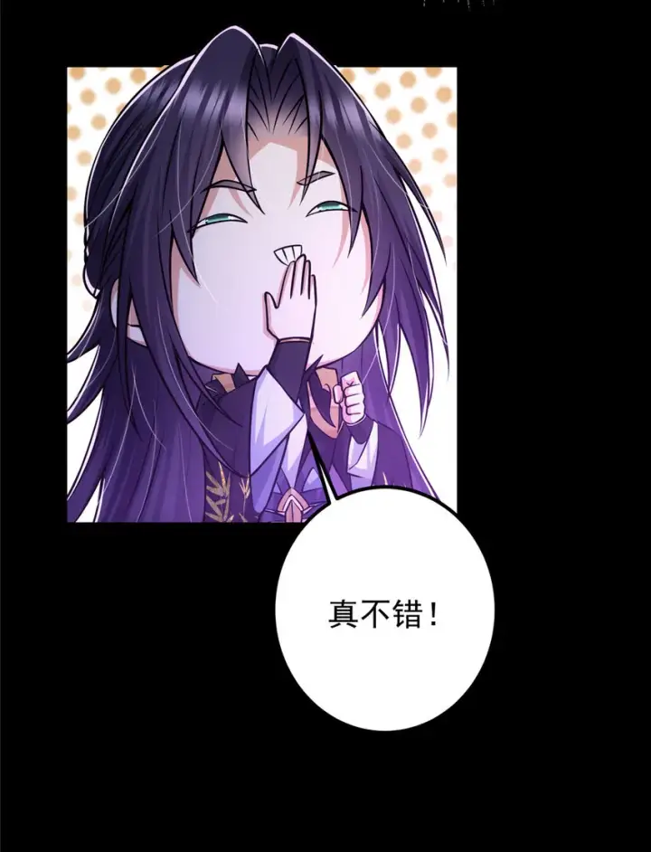 漫画《掌门低调点》108 往日秘辛第28张图