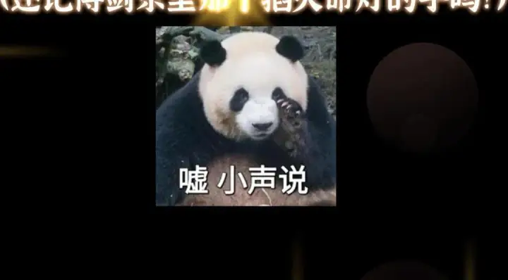漫画《掌门低调点》211 我只吃饭不洗碗第132张图