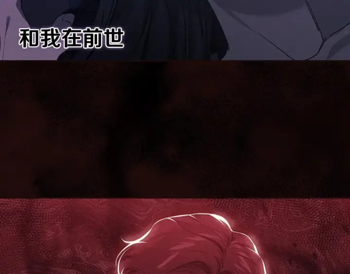 漫画《这个婚反正也要完蛋》第34话 胸针的秘密第97张图