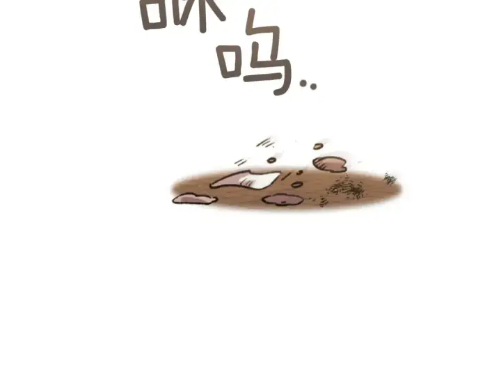 漫画《这个婚反正也要完蛋》剧场九：抹布第26张图