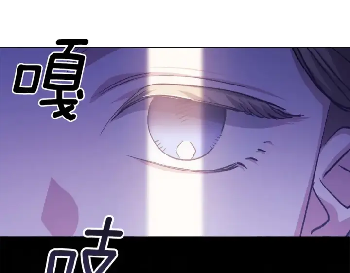 漫画《这个婚反正也要完蛋》第114话 无法原谅第214张图