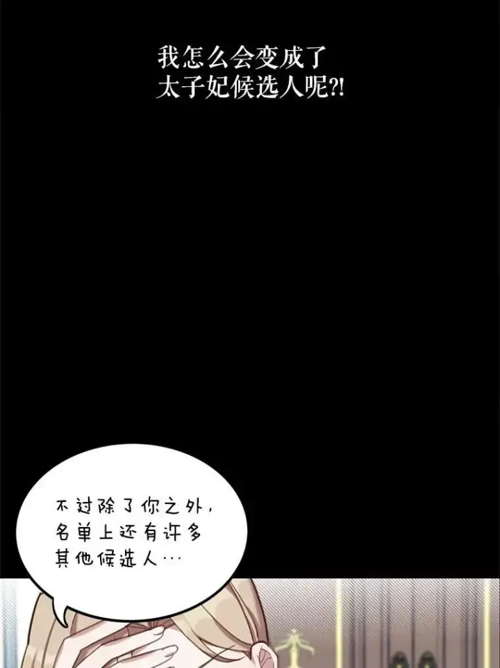 漫画《这个男主归我了》2.太子妃候选人第24张图