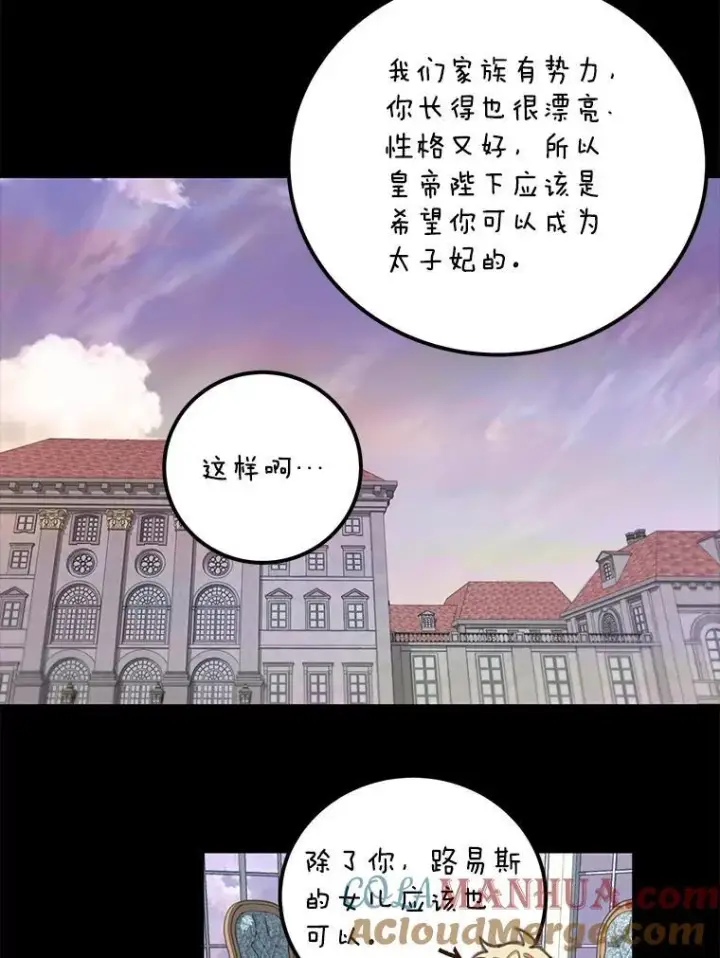 漫画《这个男主归我了》2.太子妃候选人第34张图