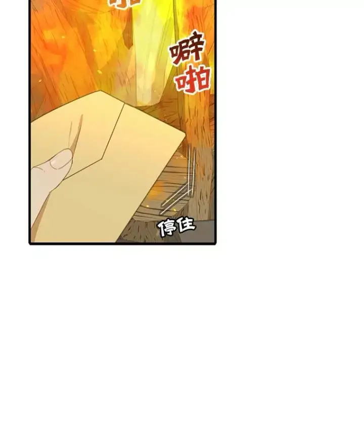 漫画《这个男主归我了》6.来信第78张图