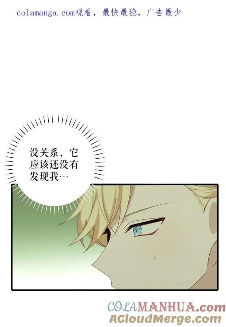 漫画《这个男主归我了》11.狩猎大会第73张图