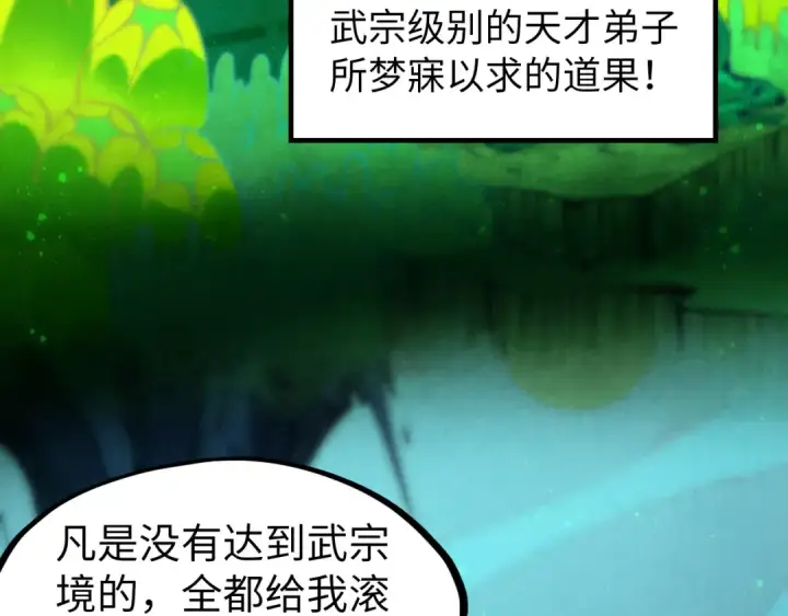 漫画《这一世我要当至尊》第256话 七宿道果第38张图