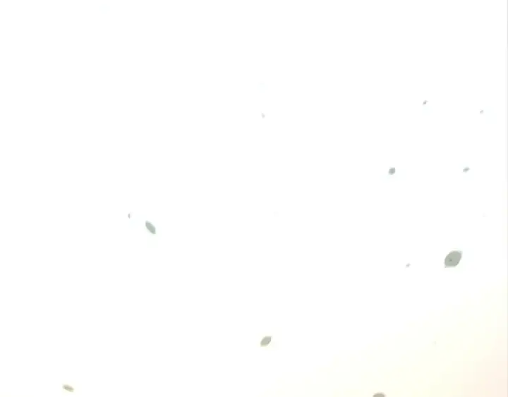 漫画《这一世我要当至尊》第438话 宋月扬城（二）第54张图