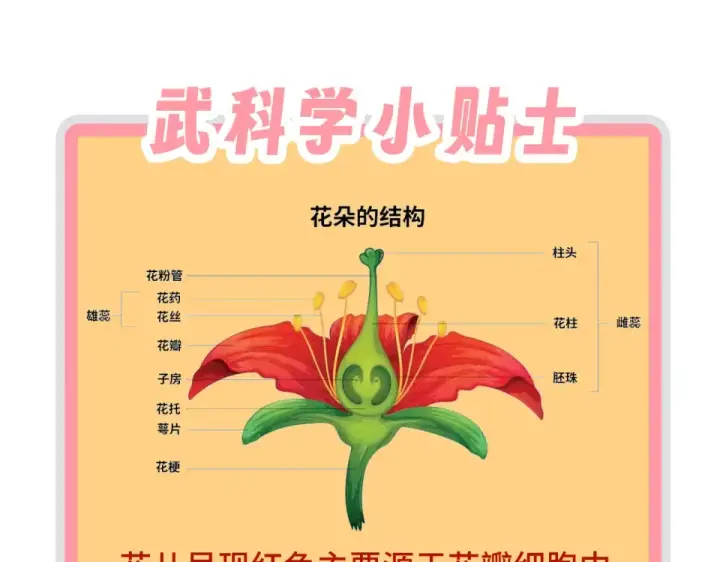 漫画《这一世我要当至尊》第493话 玄器第175张图