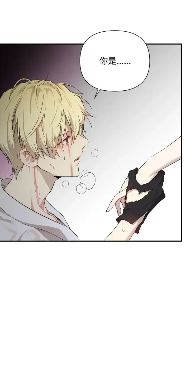 漫画《重生，逆转悲惨命运的莉莉安》14 深夜搜查第30张图