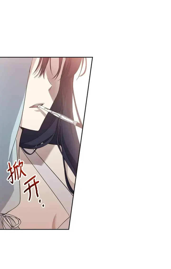 漫画《重生，逆转悲惨命运的莉莉安》14 深夜搜查第44张图