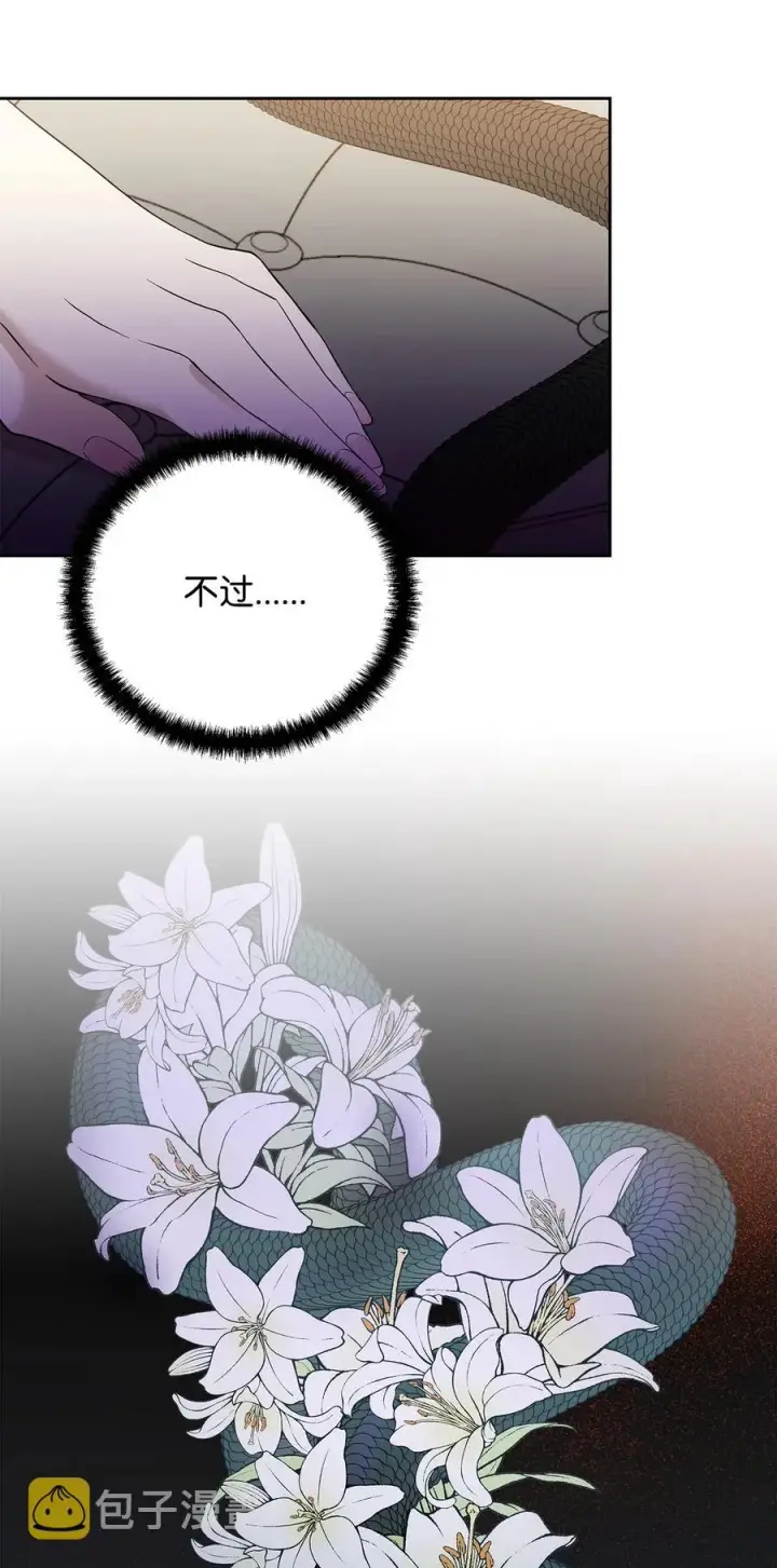 漫画《重生，逆转悲惨命运的莉莉安》16 小姐的请求第42张图