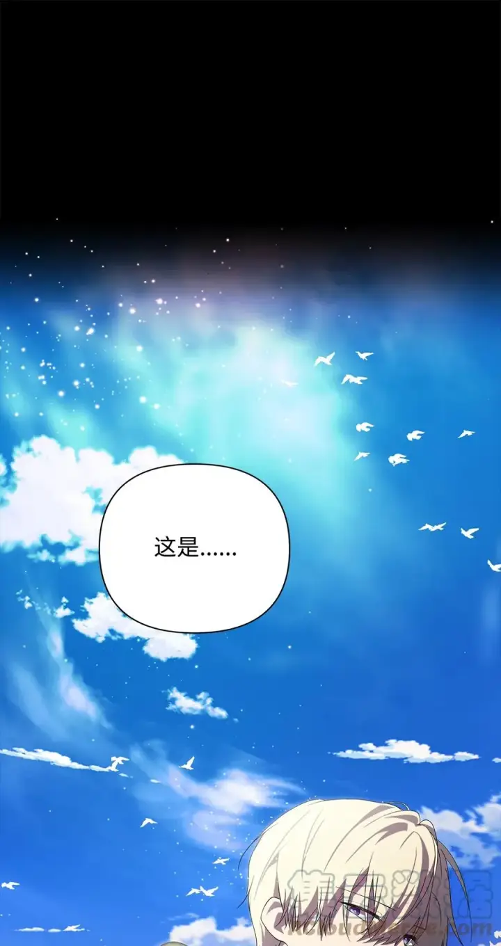 漫画《重生，逆转悲惨命运的莉莉安》17 满足要求第28张图