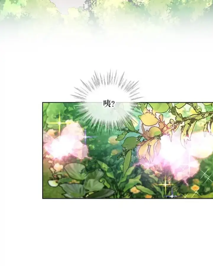 漫画《重生为神兽宝宝》25.精灵第39张图
