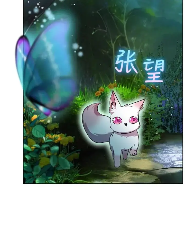 漫画《重生为神兽宝宝》33.巴希拉第15张图