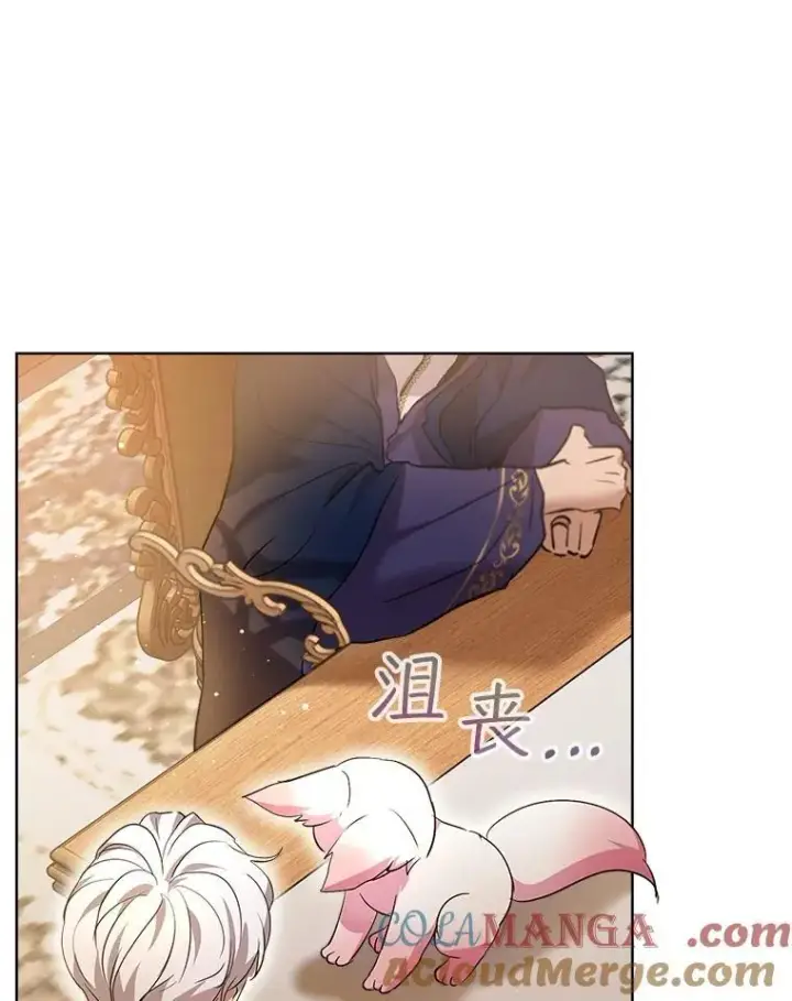 漫画《重生为神兽宝宝》34.往事第101张图