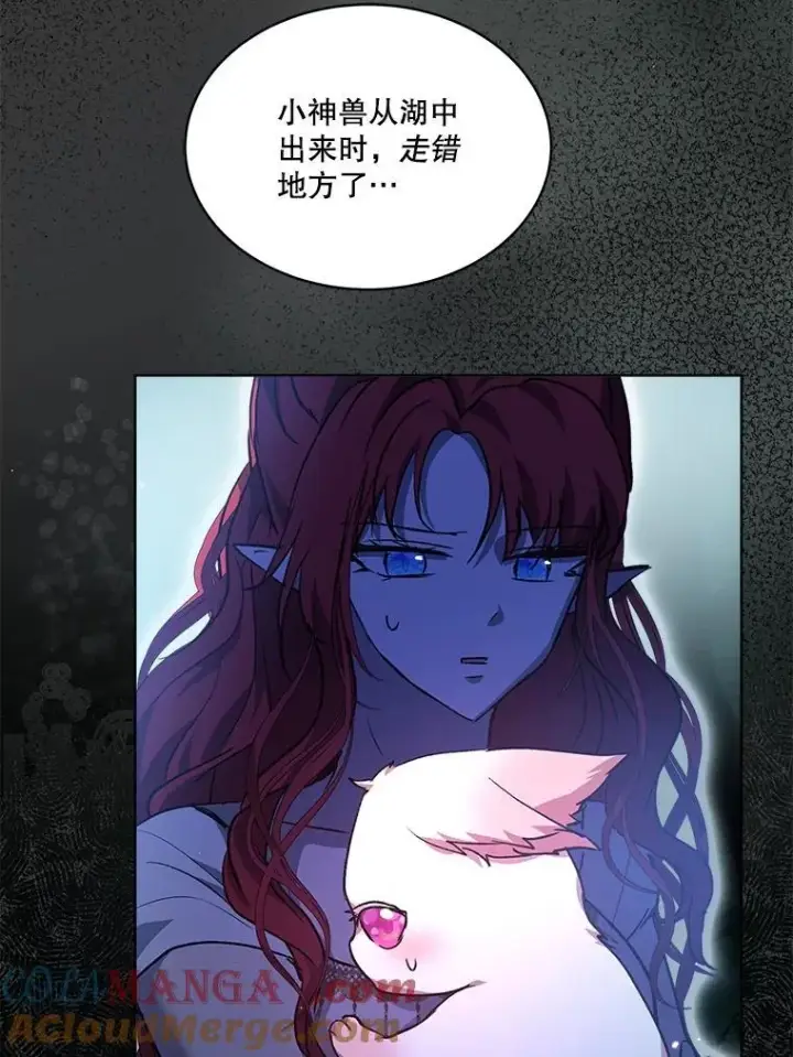 漫画《重生为神兽宝宝》34.往事第21张图