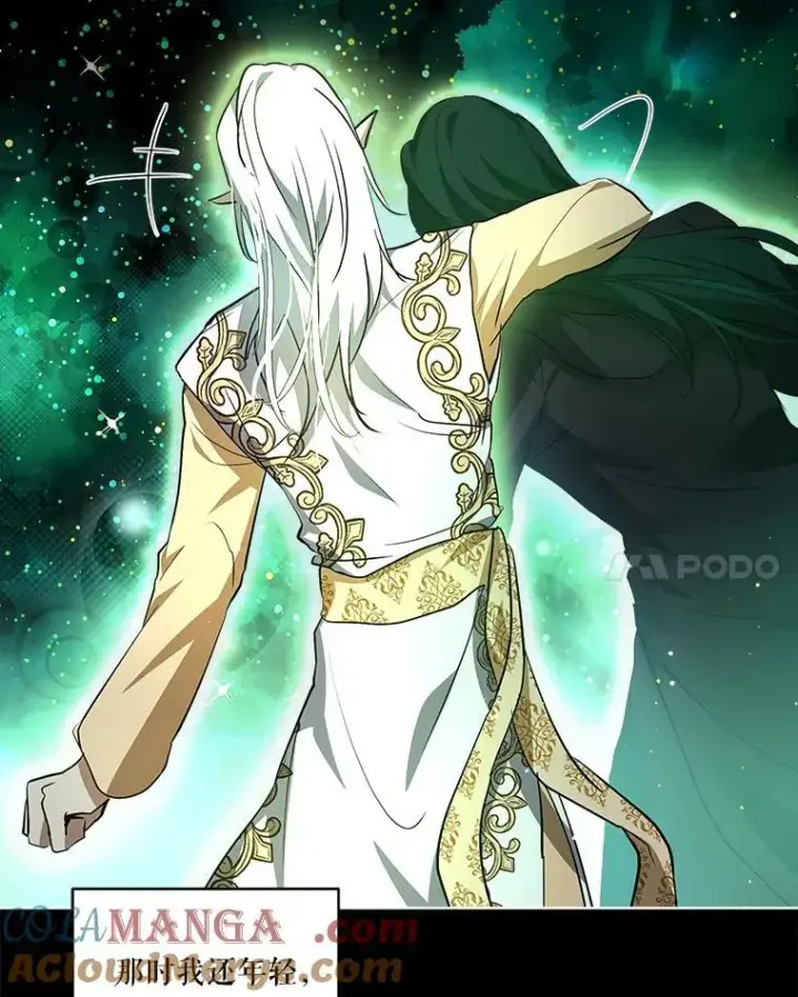 漫画《重生为神兽宝宝》34.往事第49张图