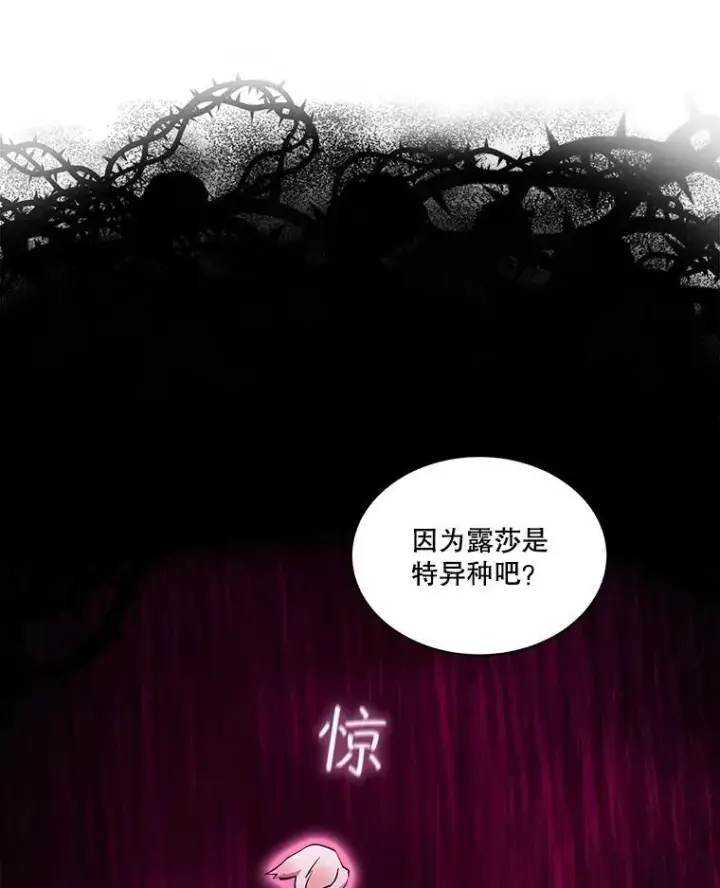 漫画《重生为神兽宝宝》34.往事第76张图
