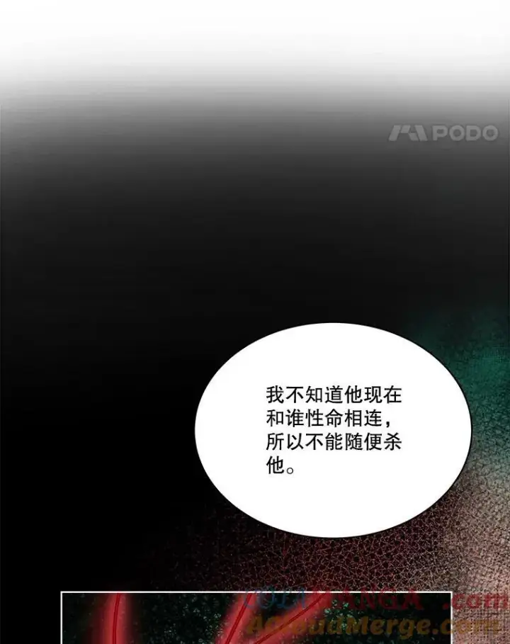 漫画《重生为神兽宝宝》34.往事第97张图