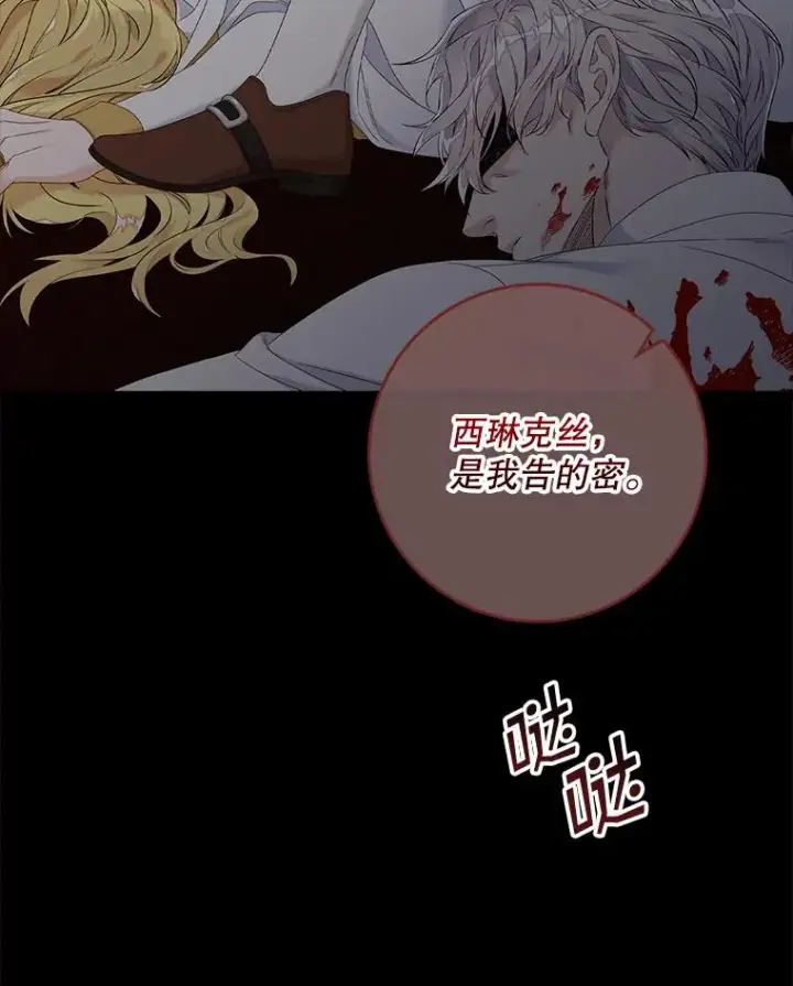 漫画《专门对付恶棍》15.西琳克丝的身世第19张图