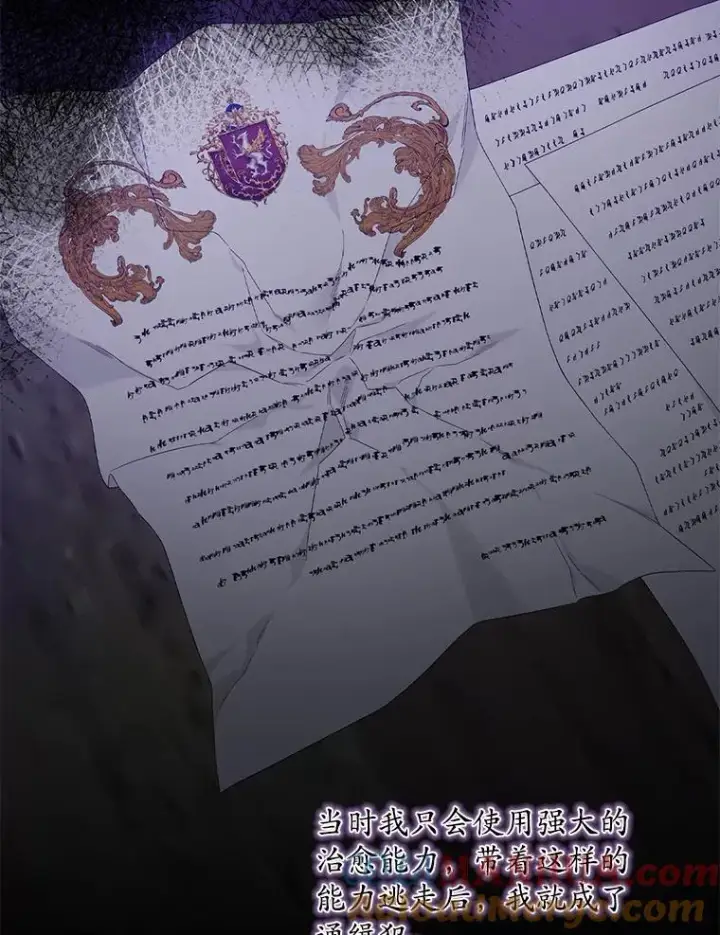 漫画《专门对付恶棍》15.西琳克丝的身世第53张图