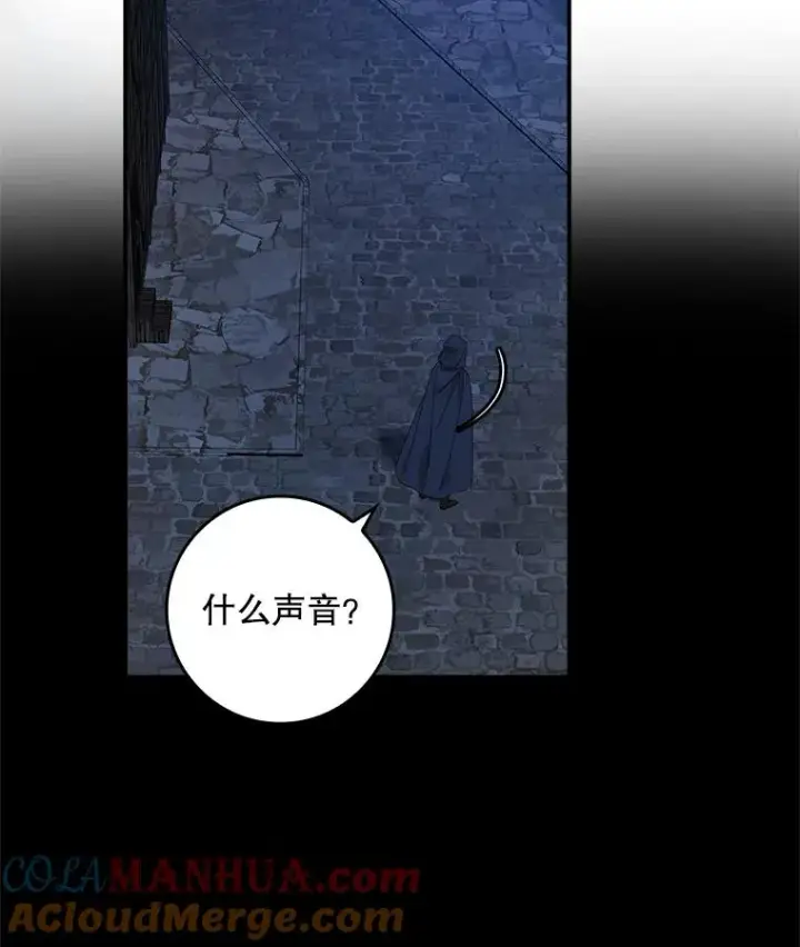 漫画《专门对付恶棍》35.嫉妒的海姆达第117张图