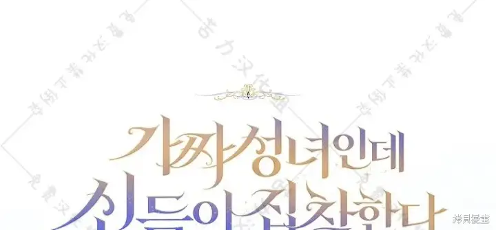 漫画《作为假圣女，却被众人迷恋？》第26话第118张图