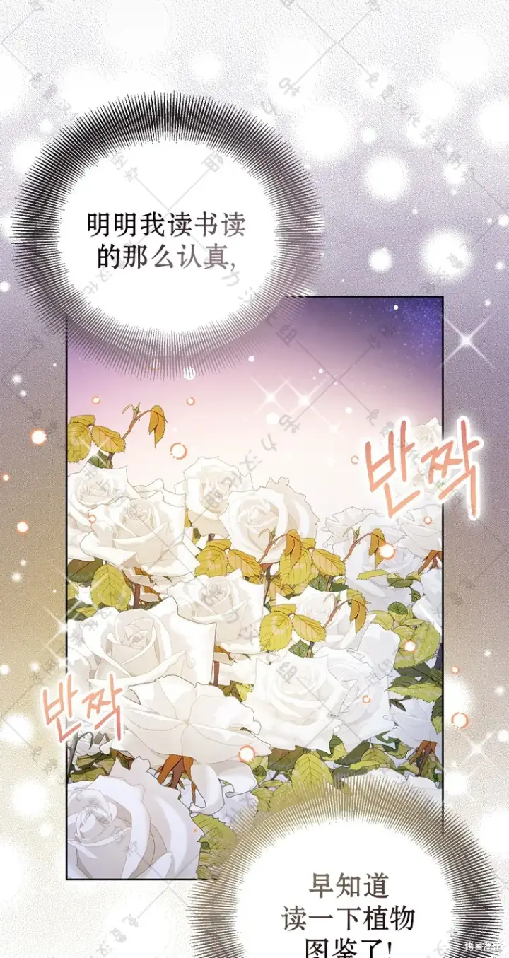 漫画《作为假圣女，却被众人迷恋？》第30话第25张图