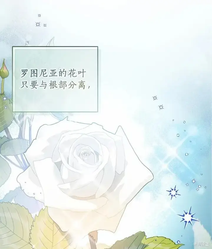 漫画《作为假圣女，却被众人迷恋？》第35话第2张图