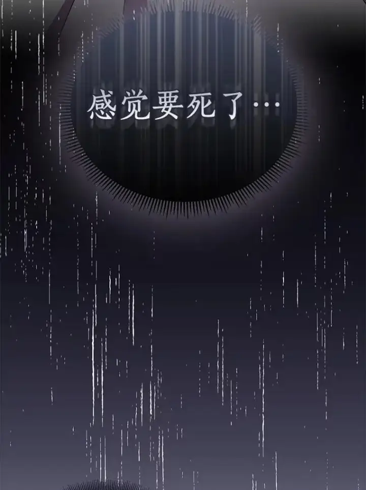 漫画《作为假圣女，却被众人迷恋？》45.魔法夜市第6张图
