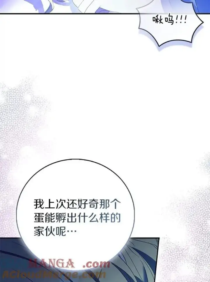 漫画《作为假圣女，却被众人迷恋？》79.确认圣力第25张图