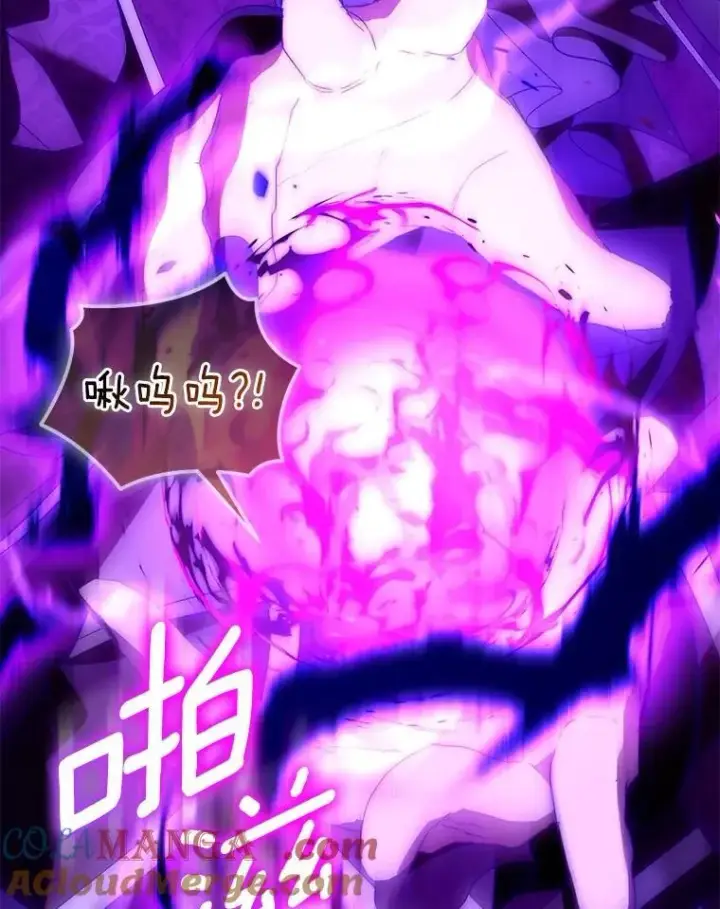 漫画《作为假圣女，却被众人迷恋？》86.礼物第109张图