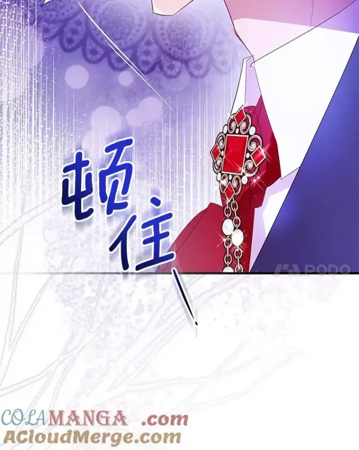 漫画《作为假圣女，却被众人迷恋？》86.礼物第17张图
