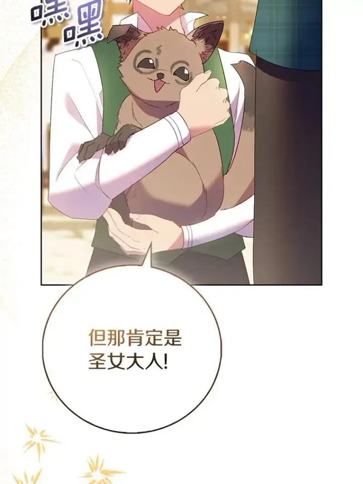 漫画《作为假圣女，却被众人迷恋？》89.离谱的传闻第11张图