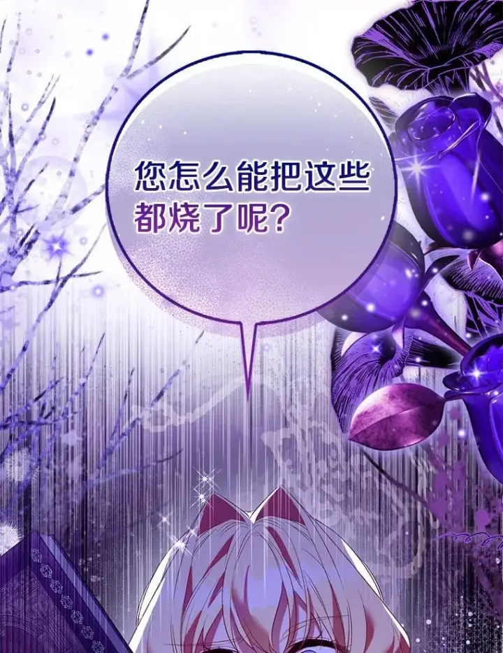漫画《作为假圣女，却被众人迷恋？》91.轻启面纱第146张图